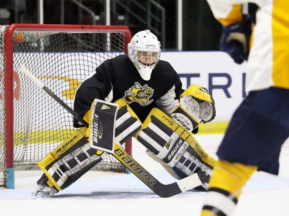 Otvorený tábor Sarnia sting