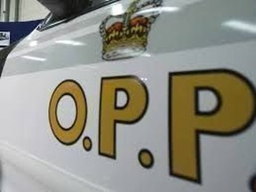 OPP logo on cruiser door