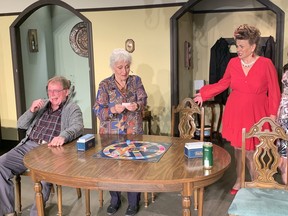 Stage photo of Drinking Alone at Upper Canada Playhouse