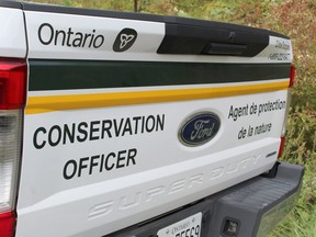 Conservation officer truck