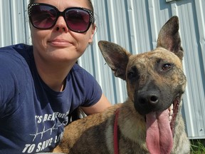 Cassia Bryden, an animal control officer with Hillside Kennels, also runs a rescue for 'last-chance' dogs and is currently seeking help for Honey, a 10-month old shepherd-type dog desperately in need of funds to cover a paw amputation and a good foster home where Honey can recover.  SUBMITTED