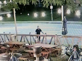 OPP are investigating an act of vandalism that occurred at Tillsonburg's rainbow crosswalk on the night of August 11, and asked anyone who recognizes the person of interest in this photo, or has information, to call the OPP at 1-888-310-1122 or CrimeStoppers at 1-800-222-8477.  (OPP Photo)