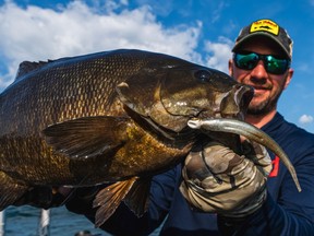 THE LIVEWELL: Best bait for fall fishing