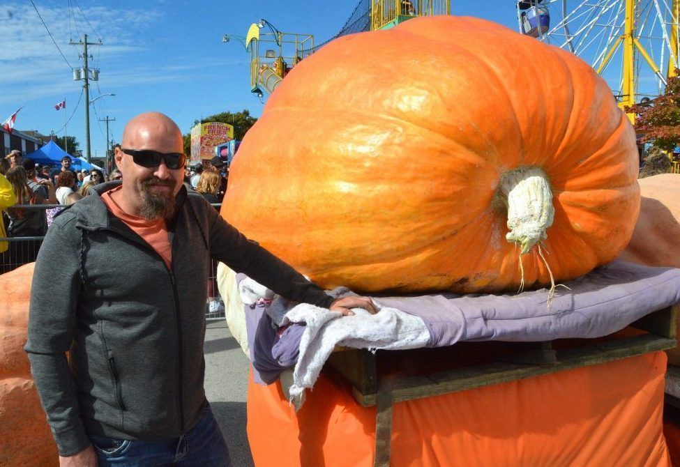 Pumpkinfest returns to Port Elgin this weekend The Shoreline Beacon