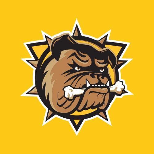 bulldogs-score-come-from-behind-victory-versus-rangers-windsor-star