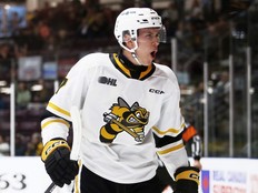 Sarnia Sting thankful for offense after 6-3 win in Windsor - The Sarnia  Journal