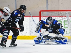 Amanda Leveille during her time with the Minnesota Whitecaps during a game against the Metropolitan Riveters.