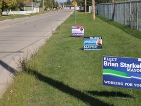 Three campaign signs on a boulevard