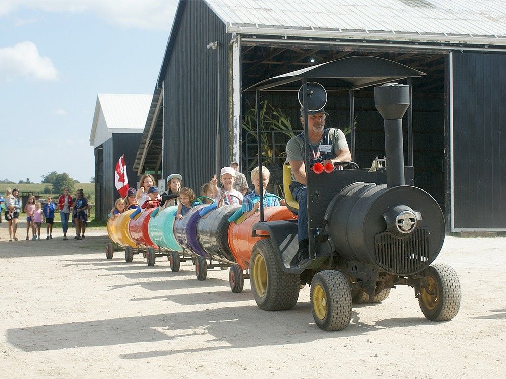 Fall Day on the Farm goes Saturday near Owen Sound | Owen Sound Sun Times