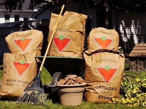Chatham-Kent, leaf and yard waste services