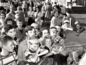 Pet money at 1951 Stratford Fall Fair