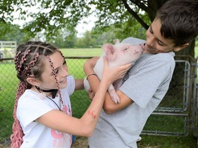 Siblings Jolene, left, and Braxton Lauwerier with Lucky George, the piglet they helped rescue after he got loose on a Norfolk County roadway.