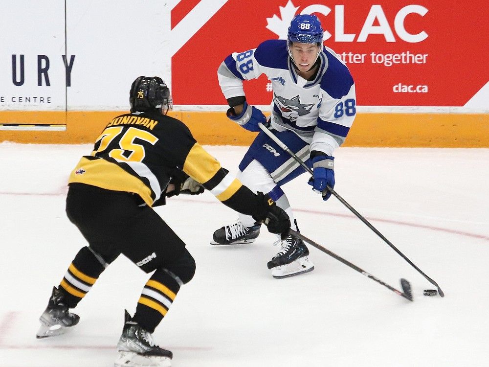 Brantford Bulldogs make first selection in OHL draft