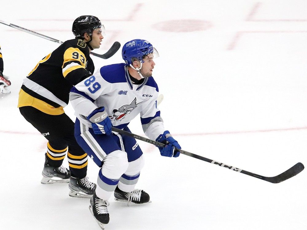 Wolves Villeneuve, Walton, Sudbury's McCue make NHL Central rankings