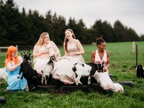 Women with goats at Wreck the Dress