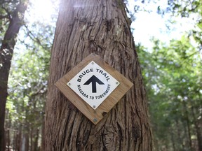 A Bruce Trail marker.