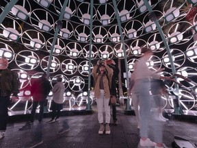 Dandelion, a massive light-art display by Amigo & Amigo that debuted in Sydney, Australia earlier this year will see its North American premiere as part of Lights On Stratford this winter.