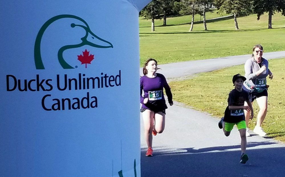 Inaugural Duck and Run held in Cornwall to support Ducks Unlimited