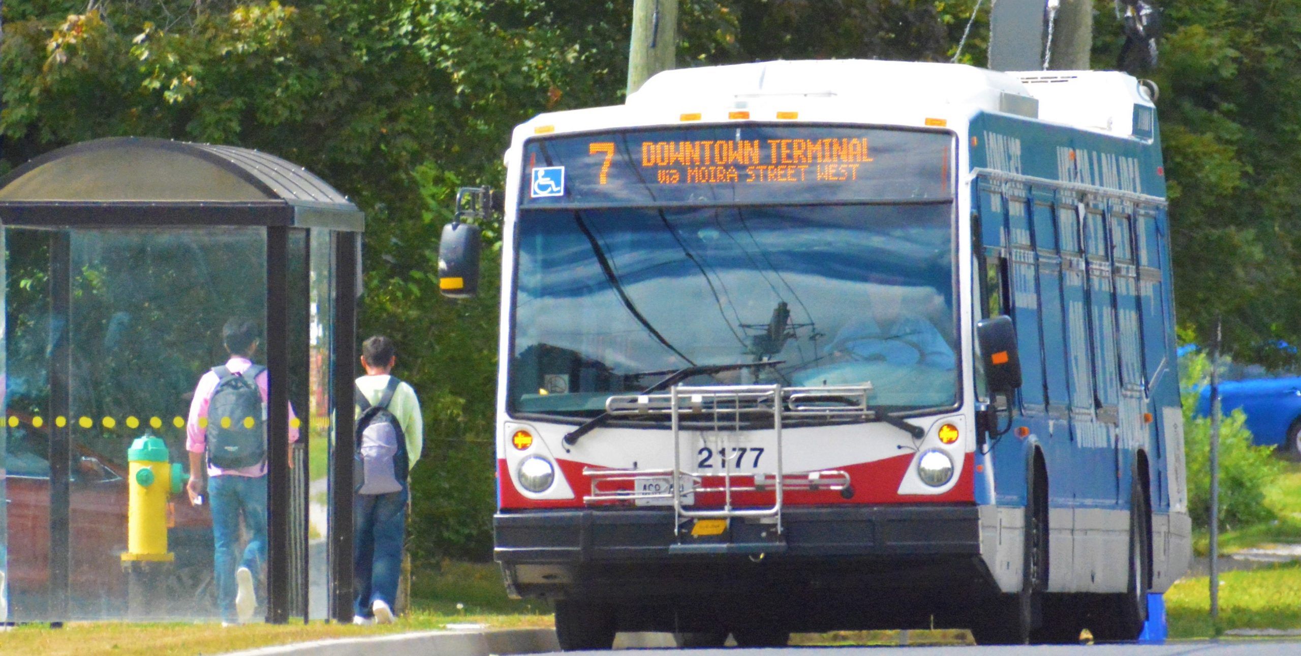 maple leaf bus tours belleville