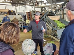 Laprise Farms manager Derek Louzon leads a tour during Farm and Food Care Ontario's Breakfast on the Farm event, which drew more than 600 visitors to the Pain Court brussels sprouts farm Saturday. (Trevor Terfloth/The Daily News)