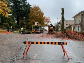 The Town of St. Marys and its tree-removal contractor removed three trees at the intersection of Church Street South and Jones Street East this week to help improve the intersection’s sightlines for vehicles.