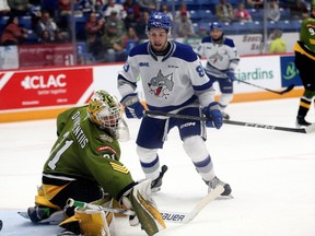North Bay Battalion goalie Don DiVincentiis deflects the puck as Nathan Villeneuve of the Sudbury Wolves looks on during first-period OHL action at Sudbury Community Arena on Sunday, October 1, 2023.