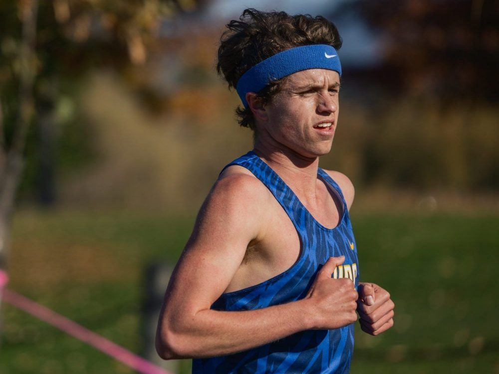 Davies wins gold, bronze at U Sports cross-country | The Sarnia Observer