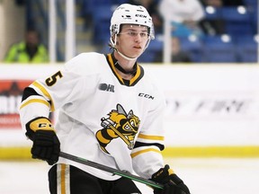 Sarnia Sting's Mitch Young
