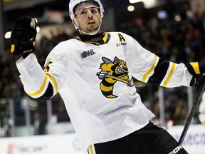 Sarnia Sting's Marko Sikic celebrates after scoring his second first-period goal against the Soo Greyhounds at Progressive Auto Sales Arena in Sarnia, Ont., on Friday, Oct. 6, 2023. Mark Malone/Chatham Daily News/Postmedia Network