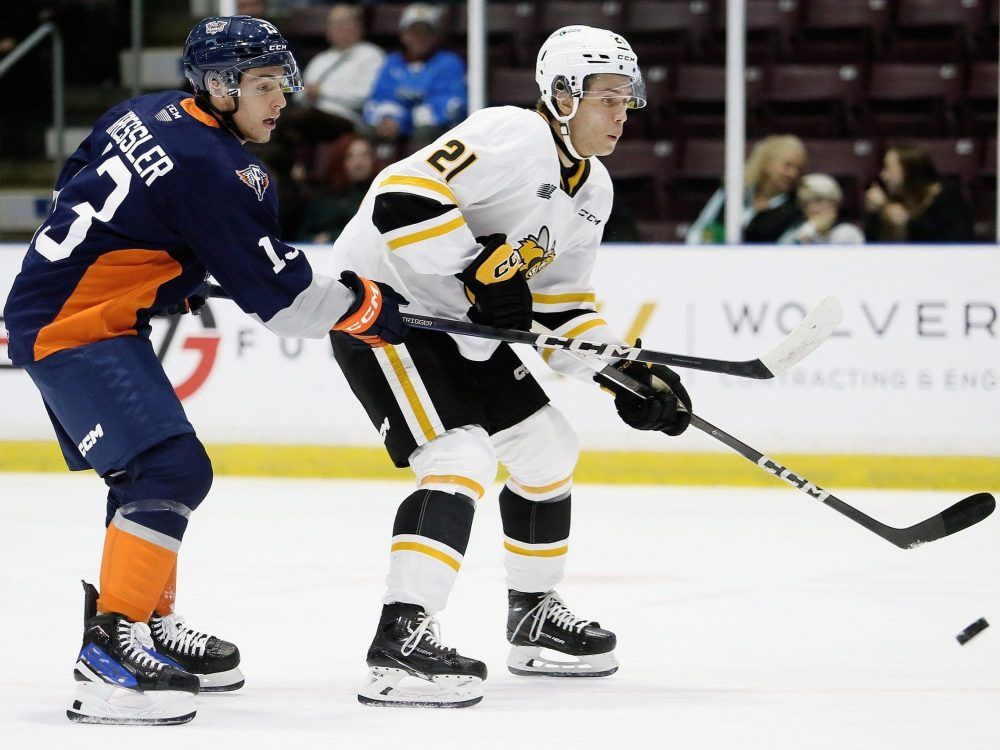 Firebirds answer Sting's comeback with one of their own The Sarnia