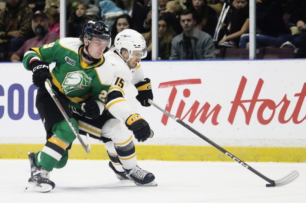 Sarnia Sting Foil London Knights' Comeback Bid | The Sarnia Observer