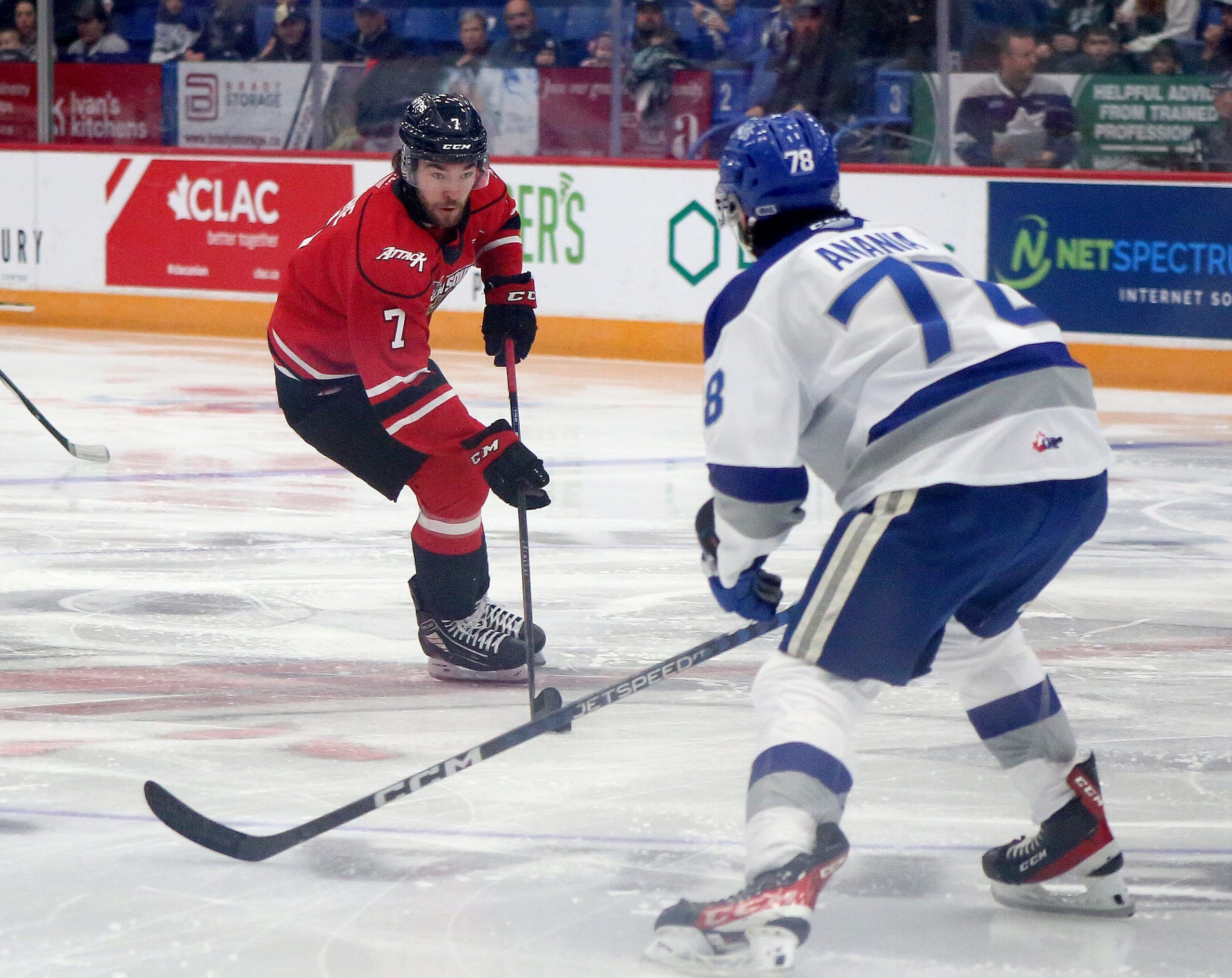 San Jose Sharks sign Quentin Musty of Sudbury Wolves to contract