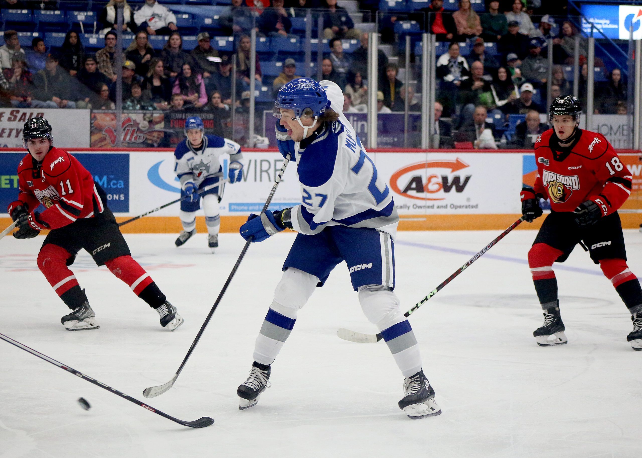 San Jose Sharks sign Quentin Musty of Sudbury Wolves to contract