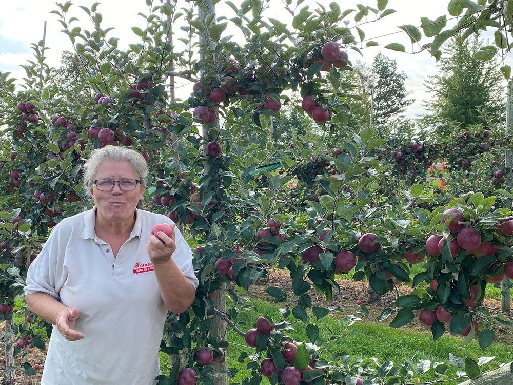 It's apple season and that means a busy time for the Howell family