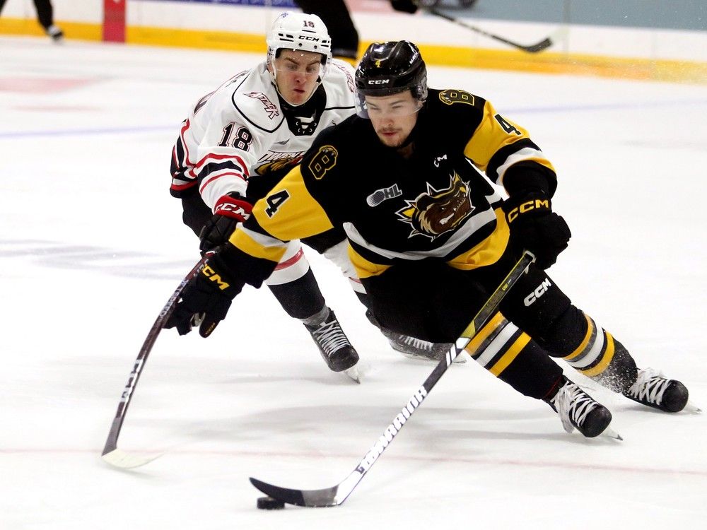 Oshawa Generals vs. Brantford Bulldogs