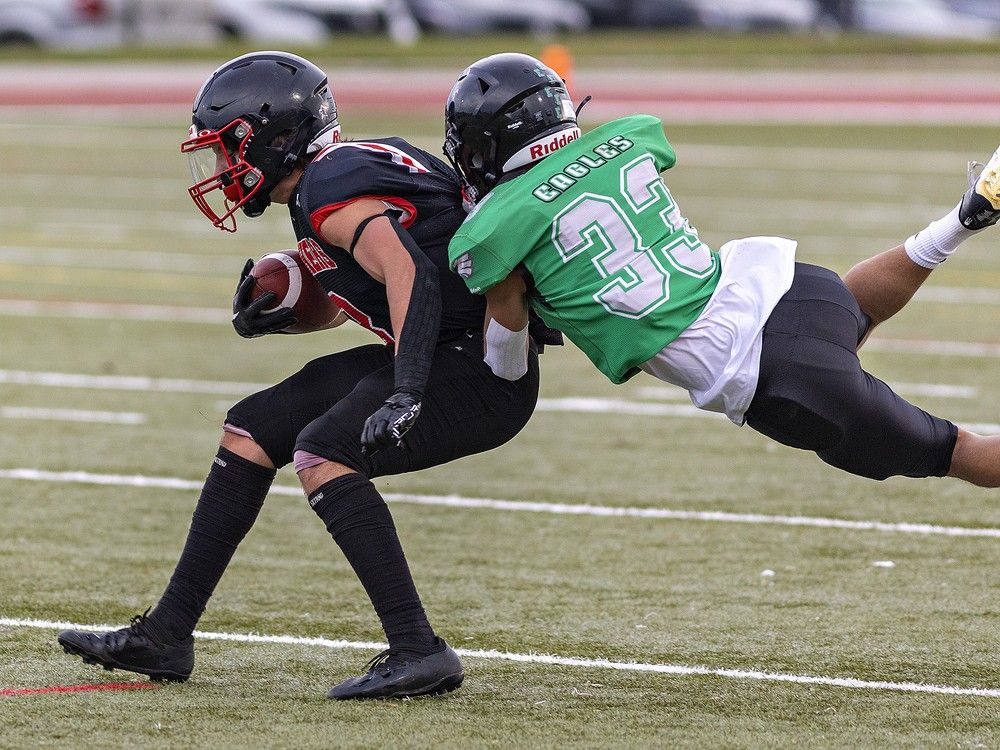 Eagles, Lions to battle for senior football championship | Brantford ...