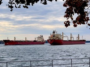 Helen Cooper, owner of Dive Brockville Adventure Centre, took this picture of the cargo vessels Federal Yoshino, left, and Federal Kivalina meeting at Blockhouse Island on Friday morning,. Oct. 20, 2023 in Brockville. Ont. (SUBMITTED PHOTO)