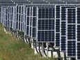 Solar panels in a rural part of Kingston, Ont.