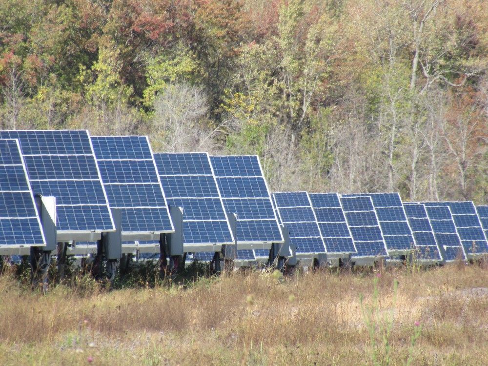 Green energy gets Kingston council support