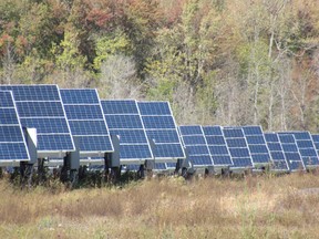 Solar panels in a rural part of Kingston.