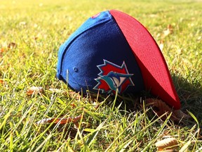 Baseball cap in the grass