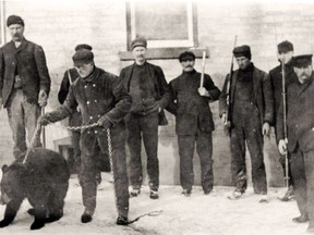 Men with a captured bear circa 1910