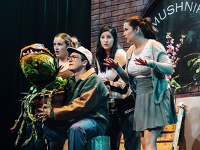 A scene from the Theatre Sarnia production of the musical Little Shop of Horrors is shown in this photo by Emily Nutson.