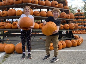 Siblings Emma and Ben Atkinson, who both attend Bloomsburg Public School, were delighted to find their jack-o-lanterns on one of the pumpkin pyramids at the Waterford Pumpkinfest on Thursday afternoon.  Students attending in-town schools held parades to take their pumpkins to the arena parking lot where the pyramids were placed.  Pumpkins carved by students attending out-of-town schools were collected and delivered to the pyramid site by volunteers.  The children's mom, Valerie Breese, said it took the youngsters about an hour to find their pumpkins.
