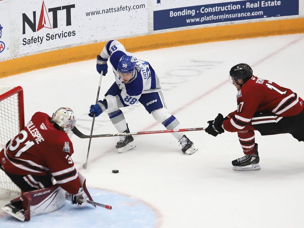 Goyette Vandenberg Help Pace Wolves To Win Over Guelph Playoff Spot