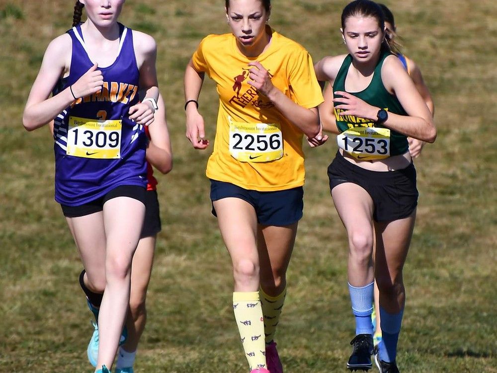 Girls cross-country Fab 50 for Nov. 14: Final edition of the