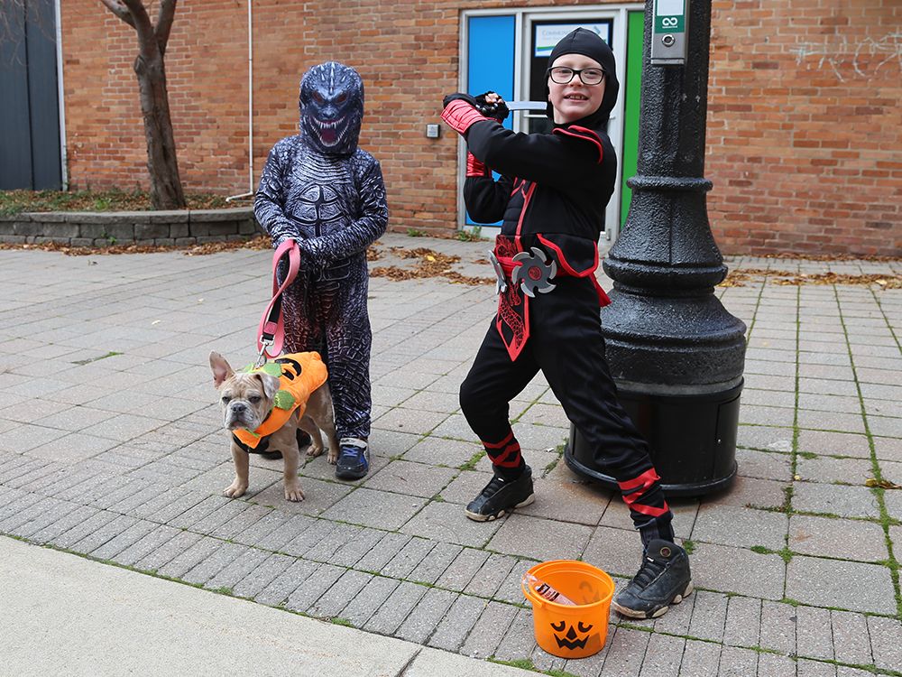 TrickorTreat Trail takes over Owen Sound's River District Saturday