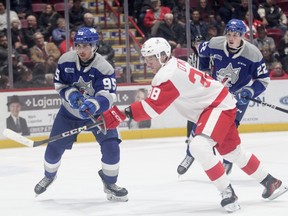 Sudbury Wolves defenceman Nick DeAngelis (95) jockeys for position with Soo Greyhounds forward Jordan D'Intino (38) during OHL action at GFL Memorial Gardens in Sault Ste. Marie, Ontario on Wednesday, November 15, 2023.