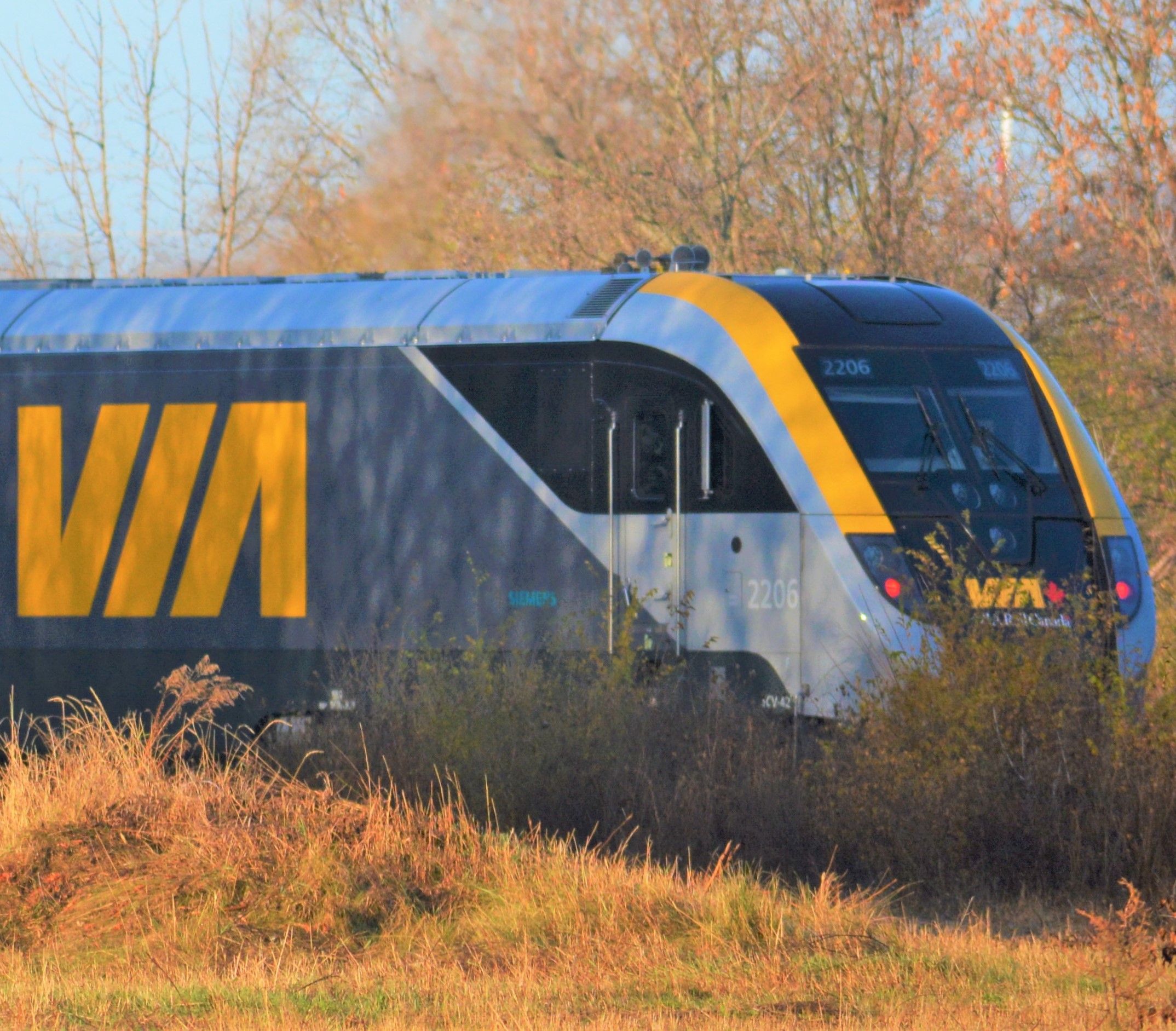 New VIA Rail Fleet Train Making Regular Stops In Bellleville ...