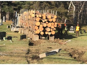 A logging truck damaged several gravestones at the St. Thomas United Church Cemetery in Doaktown after failing to stop Tuesday at a nearby intersection.